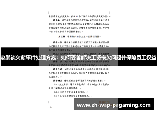 赵鹏谈欠薪事件处理方案：如何妥善解决工资拖欠问题并保障员工权益