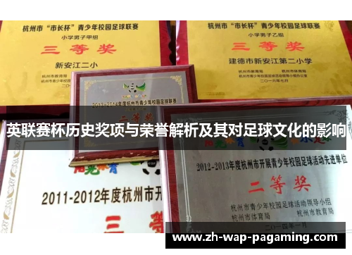 英联赛杯历史奖项与荣誉解析及其对足球文化的影响 英联赛杯历史奖项与荣誉解析及其对足球文化的影响