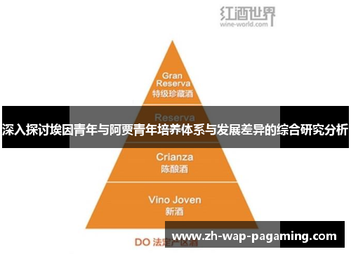 深入探讨埃因青年与阿贾青年培养体系与发展差异的综合研究分析 深入探讨埃因青年与阿贾青年培养体系与发展差异的综合研究分析