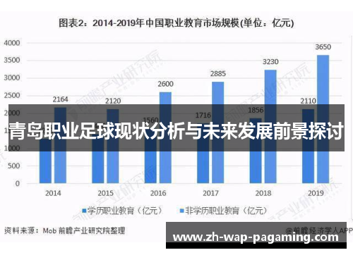 青岛职业足球现状分析与未来发展前景探讨