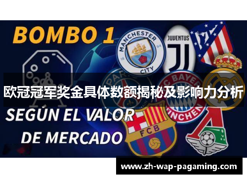欧冠冠军奖金具体数额揭秘及影响力分析