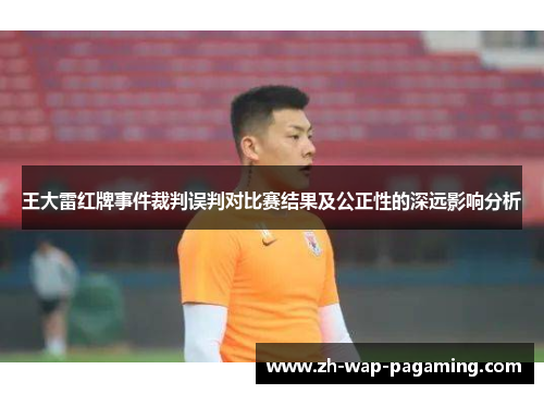 王大雷红牌事件裁判误判对比赛结果及公正性的深远影响分析