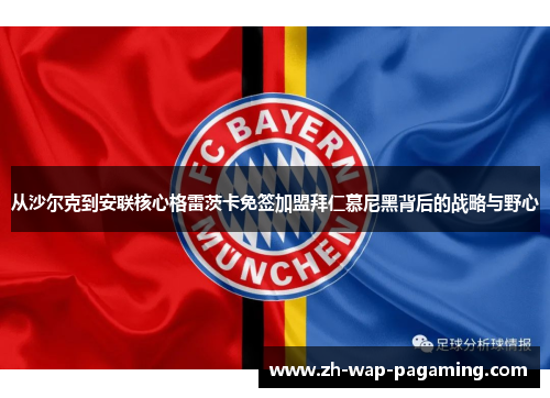 从沙尔克到安联核心格雷茨卡免签加盟拜仁慕尼黑背后的战略与野心