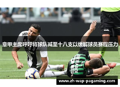 意甲主席呼吁将球队减至十八支以缓解球员赛程压力 意甲主席呼吁将球队减至十八支以缓解球员赛程压力