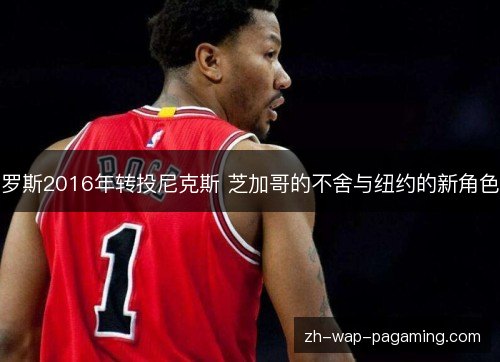 罗斯2016年转投尼克斯 芝加哥的不舍与纽约的新角色